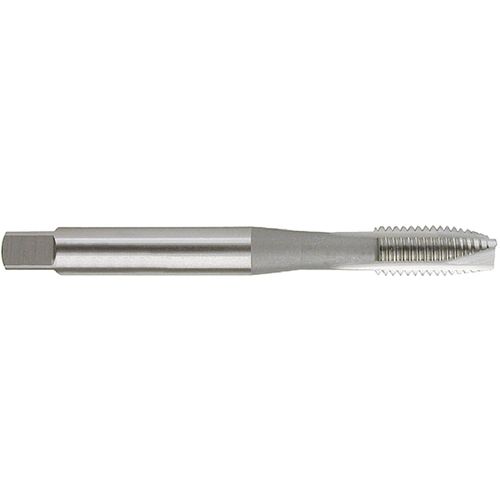 Macho máquina POT métrica grossa HSSE 250/1 M06 X 1 Tin OSG Ref. 7499