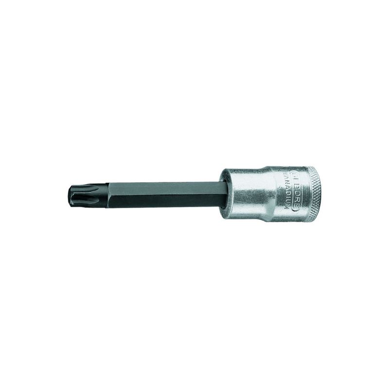 Frente
